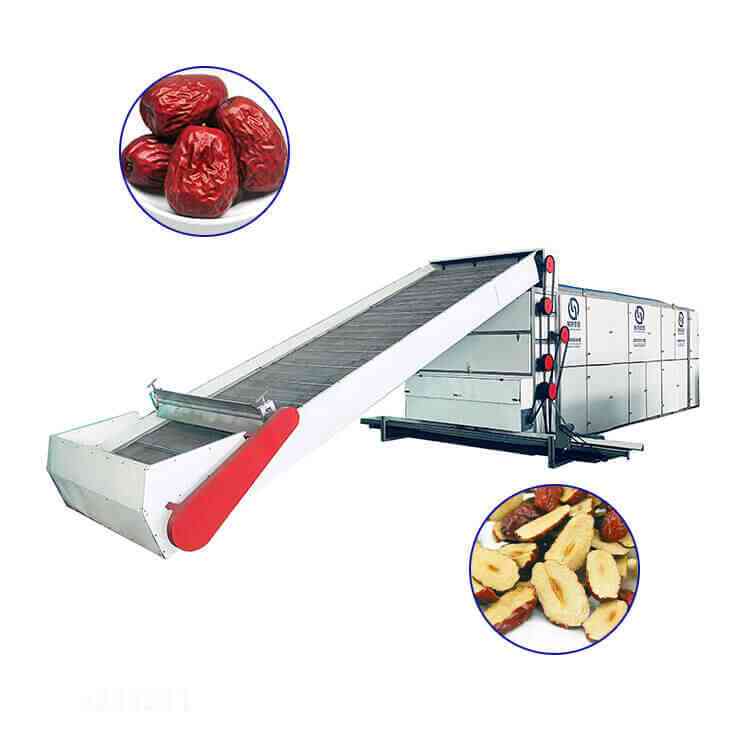 date continuous mesh belt dryer